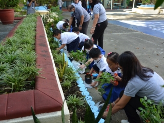 KINDERGARTEN TREE PLANTING ACTIVITY